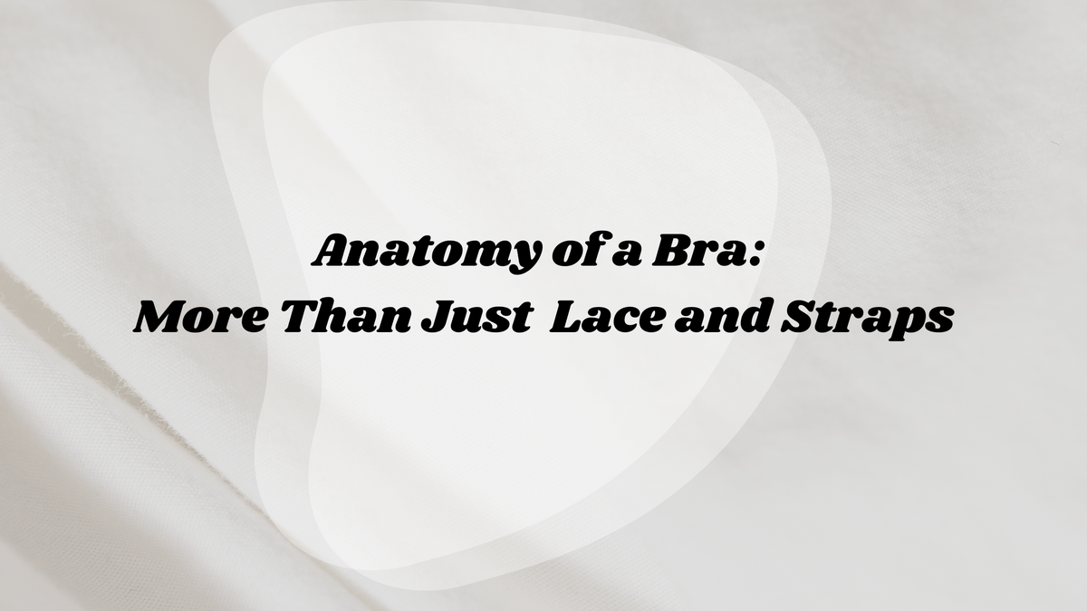 What are the Key Components of a Bra? Anatomy Explained..... – SOIE Woman