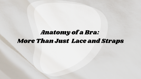 Anatomy of a Bra: More Than Just Lace and Straps