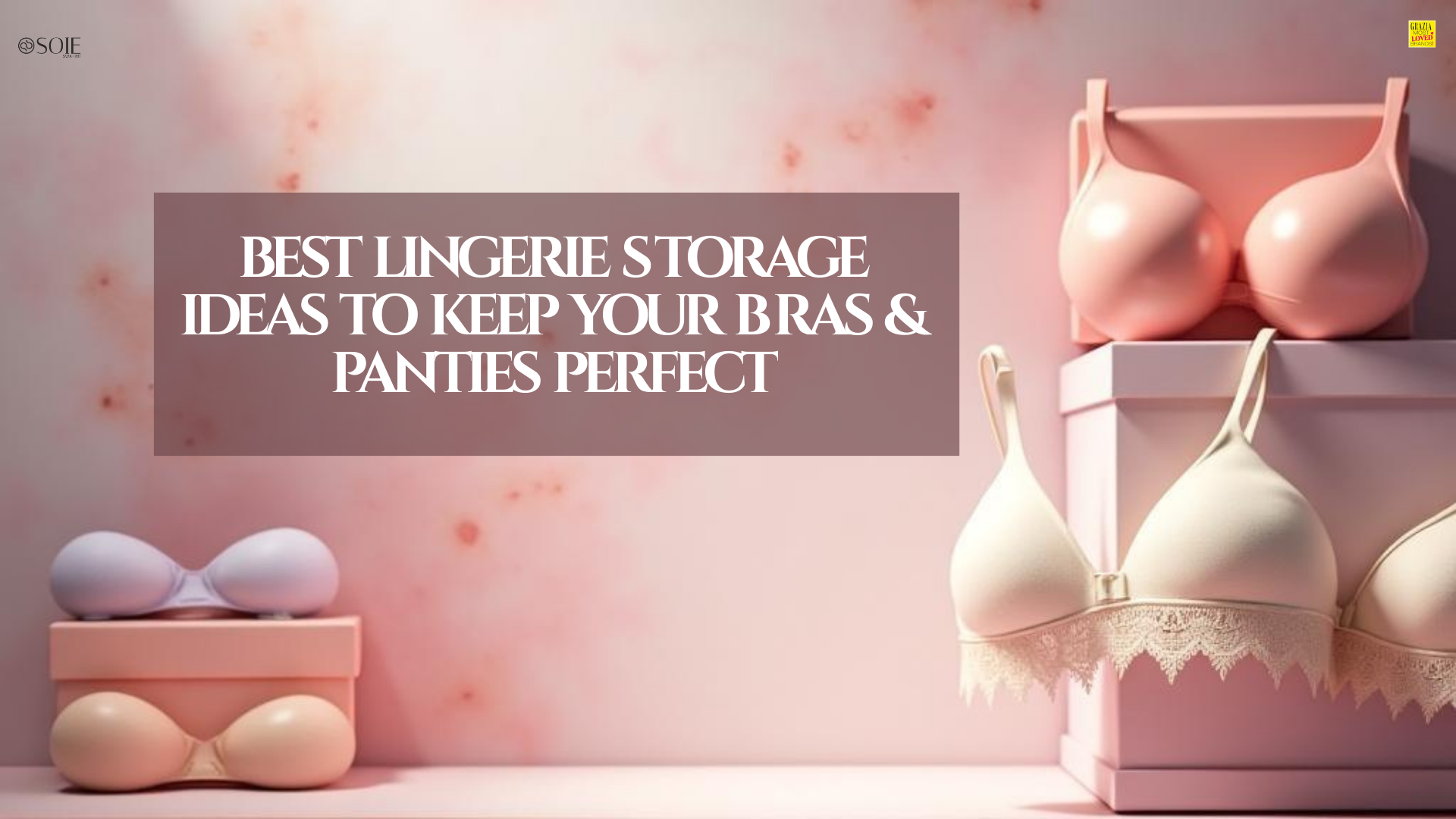 Best Lingerie Storage Ideas to Keep Your Bras & Panties Perfect