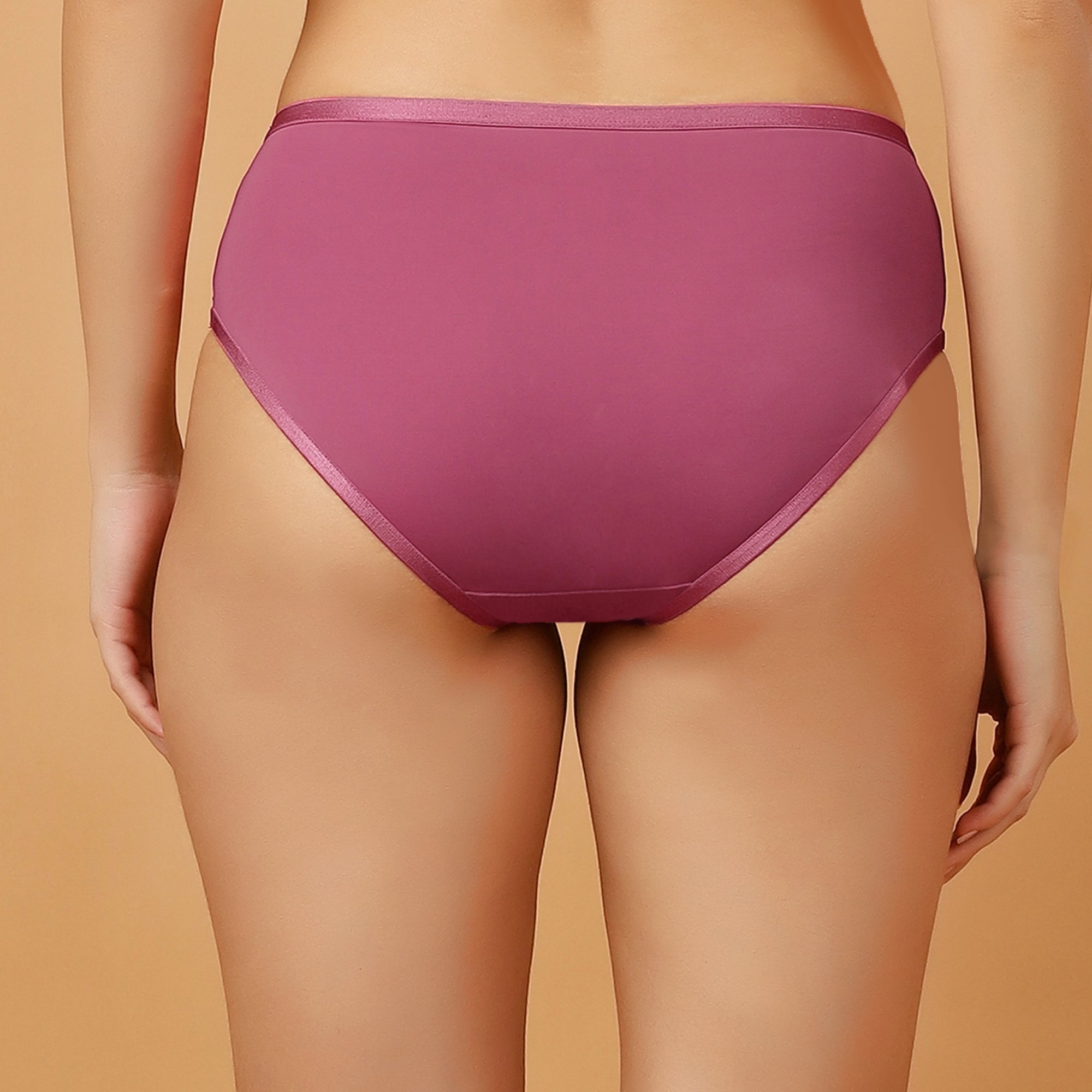 High Waist Full Coverage Mesh Panelled Brief