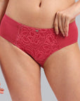 High Waist Full Coverage Lace Brief-FP-1705