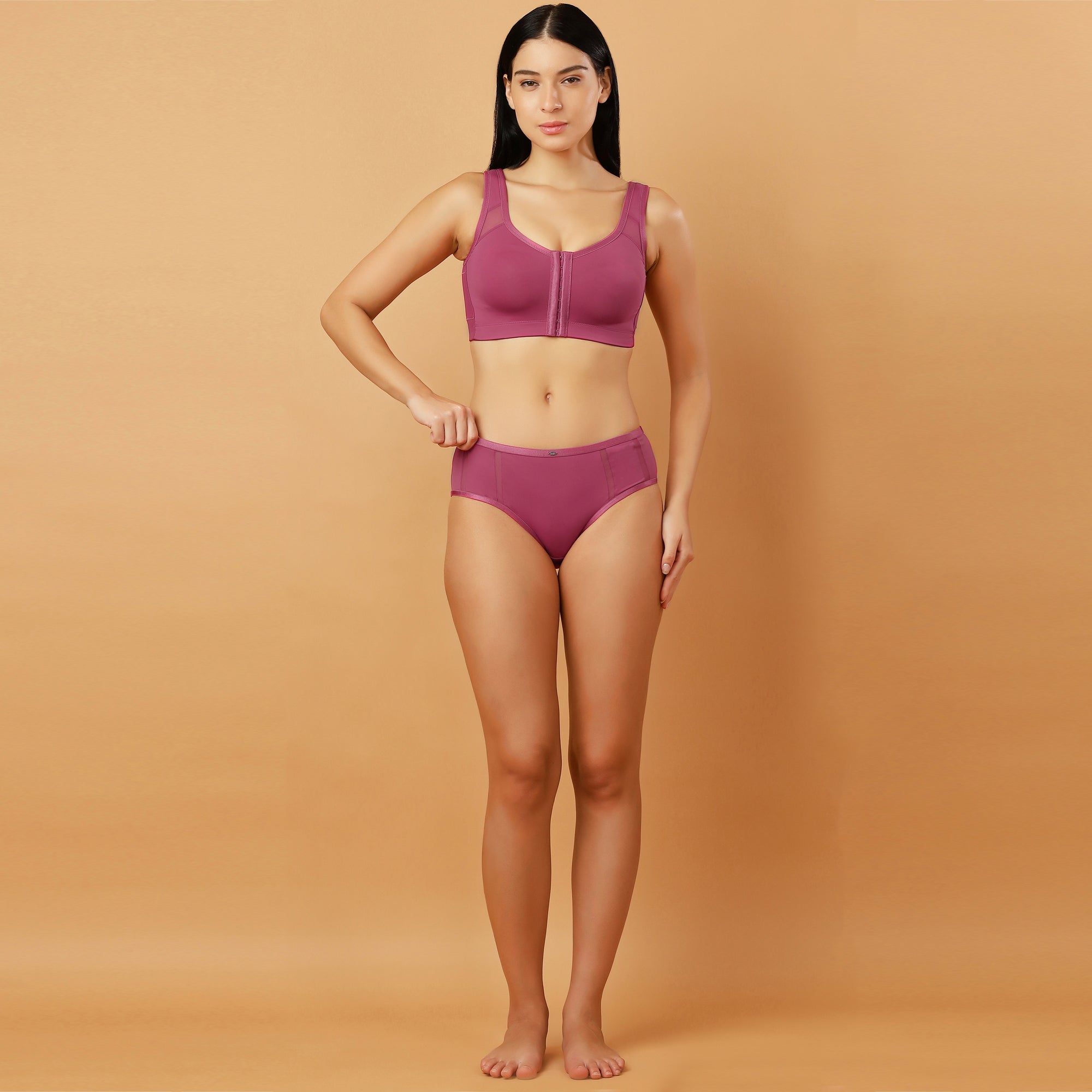 High Waist Full Coverage Mesh Panelled Brief