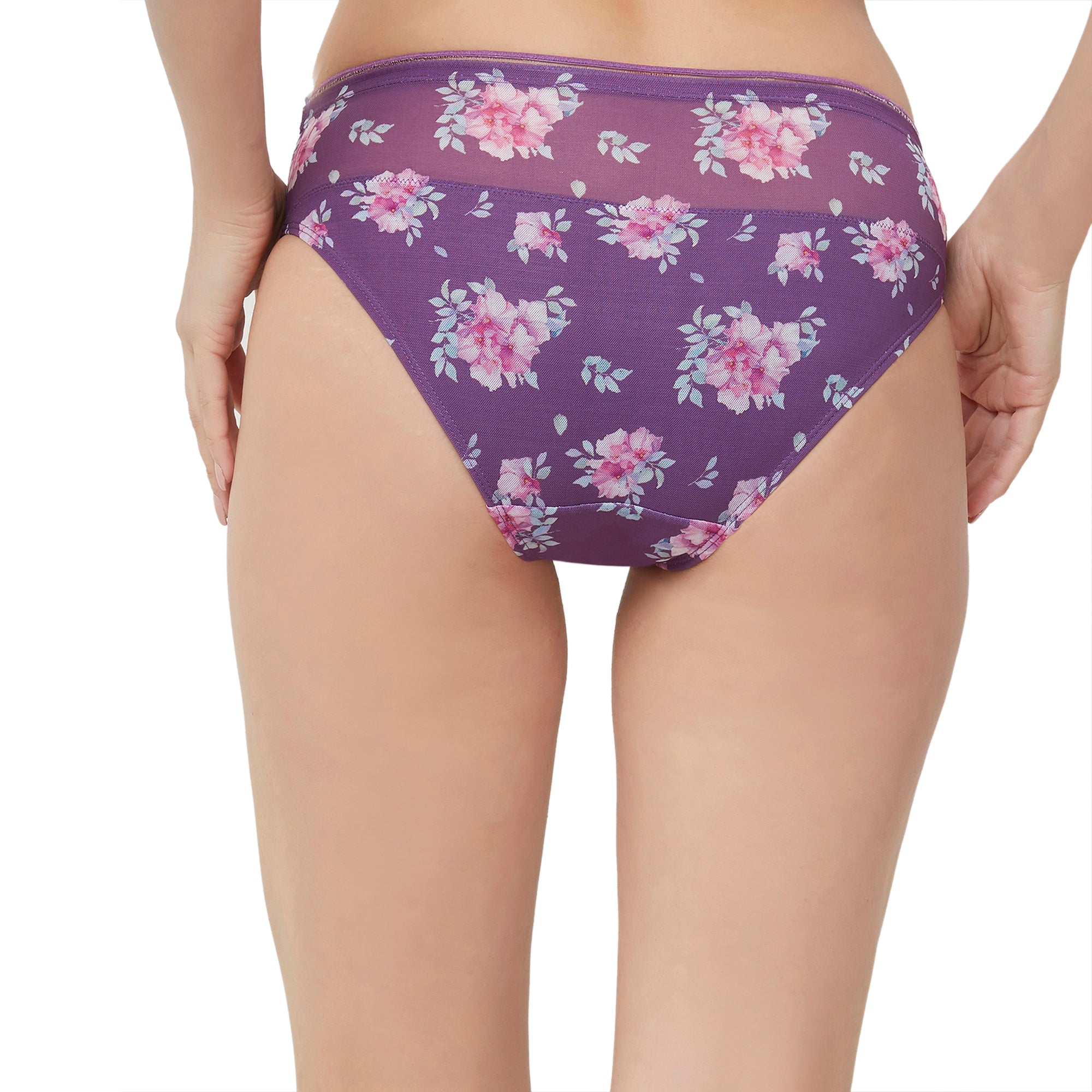 Violet Printed Mesh Fabric Hipster Brief FP-1532